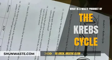 Understanding the Krebs Cycle's Primary Waste Product: CO2 Explained