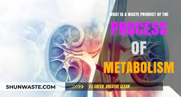 Metabolism's Hidden Byproduct: Understanding the Waste Products of Energy Production