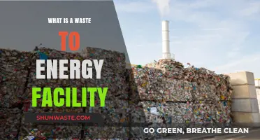 Transforming Trash to Power: Understanding Waste-to-Energy Facilities