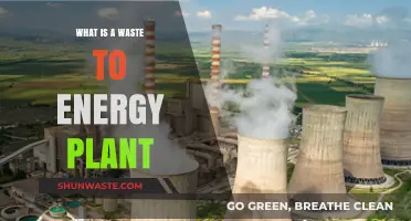 Transforming Trash to Power: Understanding Waste-to-Energy Plants