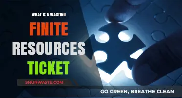 Understanding Wasting Finite Resources Tickets: Purpose, Impact, and Consequences