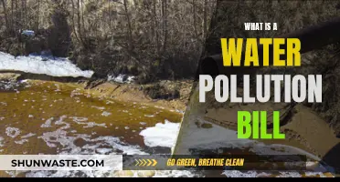 Understanding Water Pollution: A Comprehensive Bill Overview