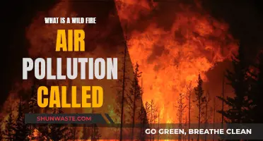 Wildfire Haze: Understanding the Air Quality Impact