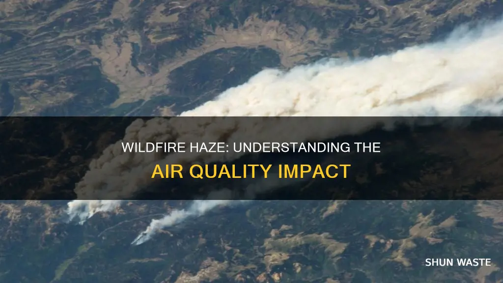 what is a wild fire air pollution called