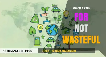 Sustainable Living: Discovering the Perfect Word for Non-Wasteful Practices