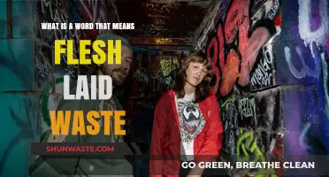 Understanding the Haunting Term for Flesh Laid Waste: A Linguistic Exploration