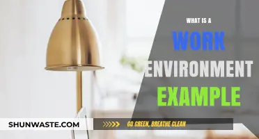 Exploring Ideal Work Environment Examples for Productivity and Satisfaction