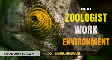 Exploring the Diverse Work Environments of Zoologists: From Labs to Wild Habitats