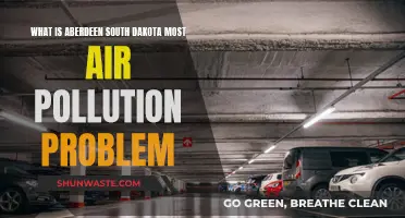 Aberdeen's Air Pollution: What's the Main Issue?