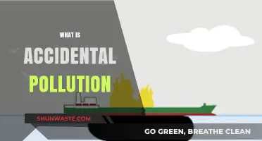 Unintended Consequences: Understanding Accidental Pollution