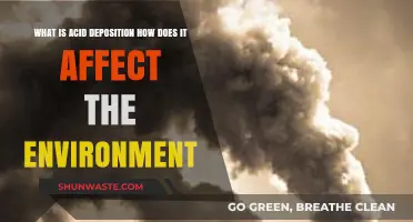 Understanding Acid Deposition: Environmental Impacts and Consequences Explained
