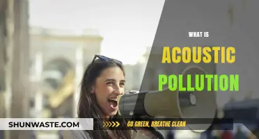 Understanding Harmful Noise: Acoustic Pollution Explained