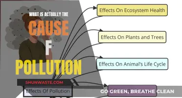 Unveiling the Complex Web: Understanding the Root Causes of Pollution