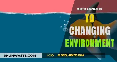 Mastering Adaptability: Thriving in Ever-Changing Environments and Challenges