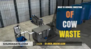Aerobic Digestion of Cow Waste: Benefits, Process, and Environmental Impact