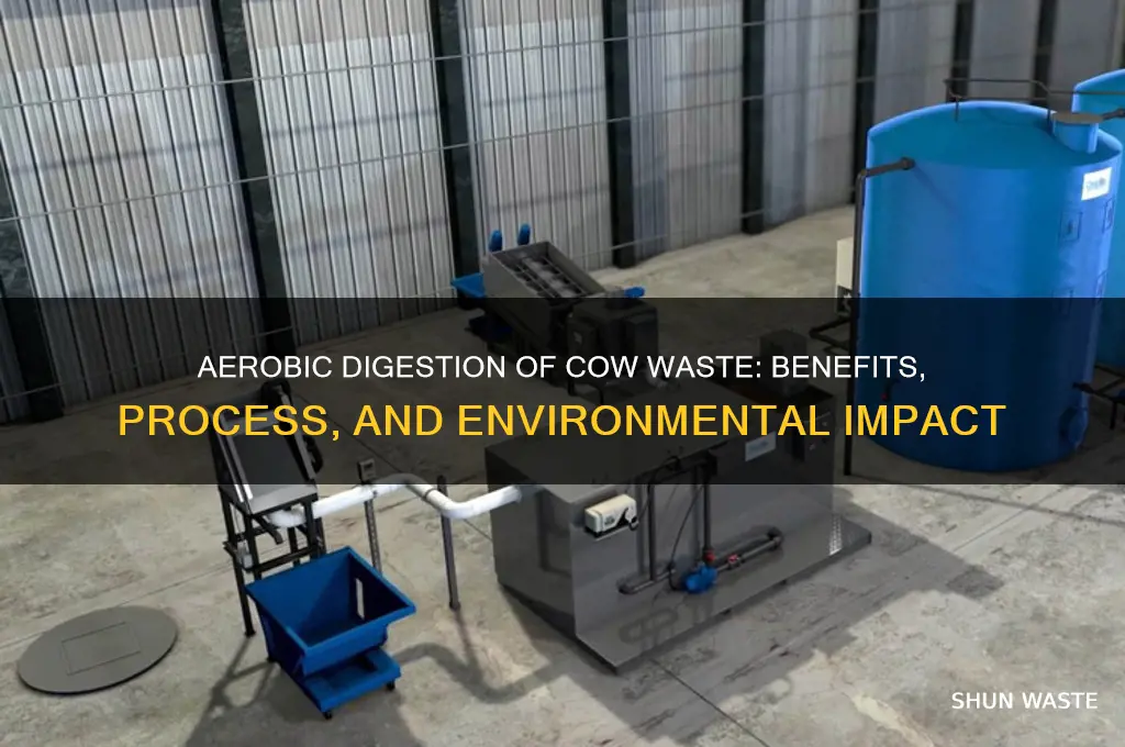 what is aerobic dihestion of cow waste