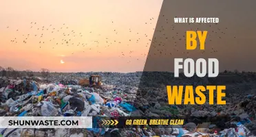 The Ripple Effect: Understanding the Impact of Food Waste