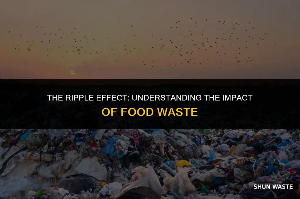 what is affected by food waste