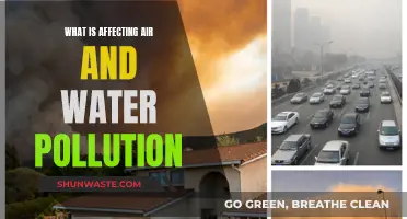 Air and Water Pollution: Causes and Effects