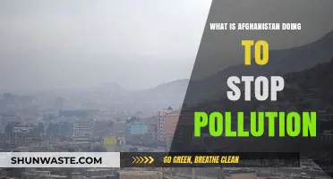 Afghanistan's Battle Against Pollution: Strategies and Challenges