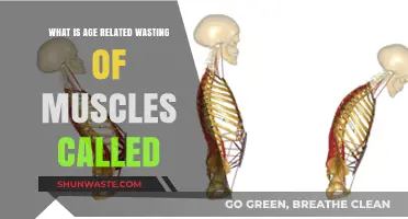 Understanding Sarcopenia: The Age-Related Muscle Wasting Condition Explained