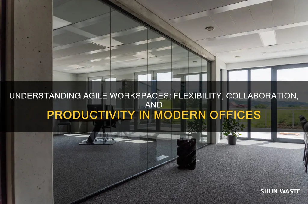 what is agile working environment