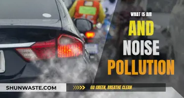 Air and Noise Pollution: Understanding the Impact