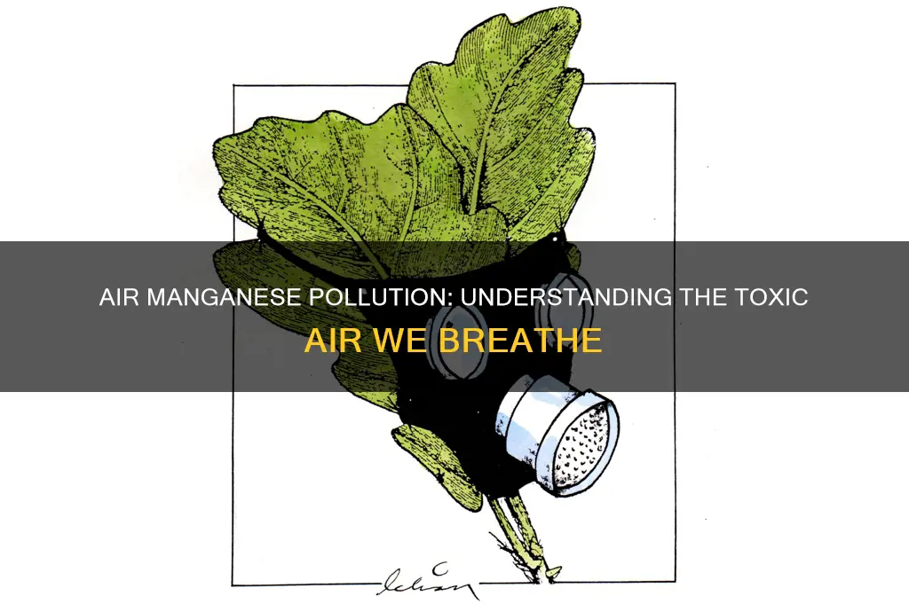 what is air mangaense air pollution