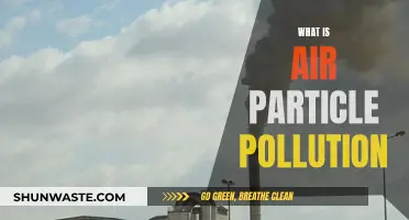 Air Particle Pollution: What's in the Air?