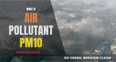 Air Pollutant PM10: A Hazardous Airborn Particle
