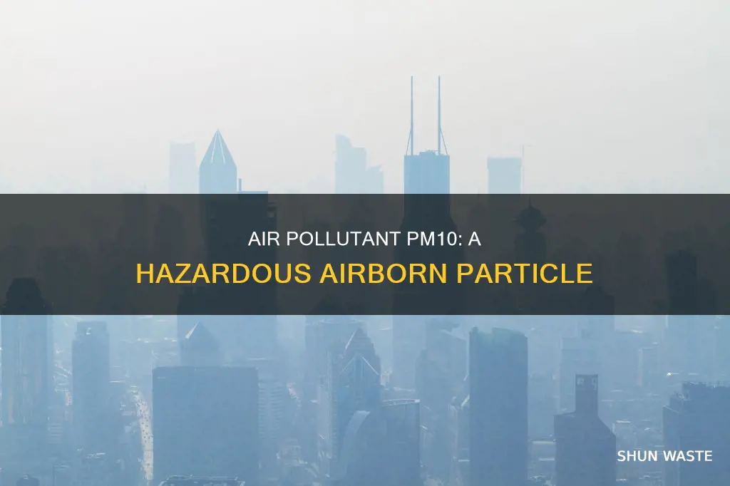 what is air pollutant pm10