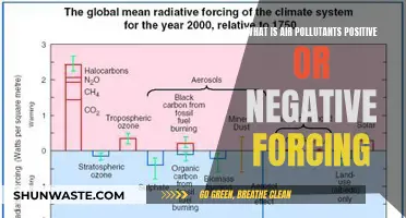 Air Pollutants: Forcing Change, Positively or Negatively?