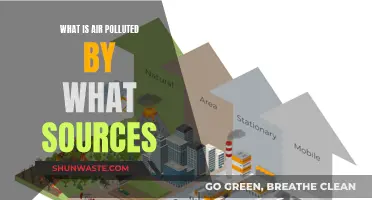 Air Pollution: Sources and Their Impact