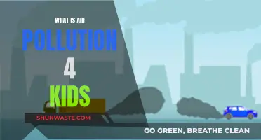 Air Pollution: What's Happening to Our Air?