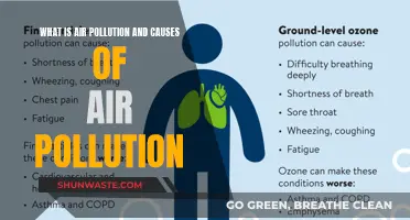 Unveiling the Hazards: Understanding Air Pollution and Its Origins