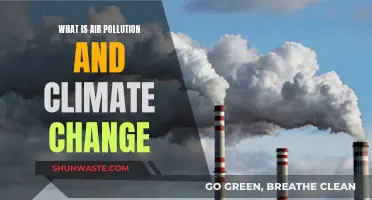 Air Pollution and Climate Change: Understanding the Crisis
