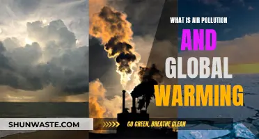 Air Pollution and Global Warming: Our Future at Stake