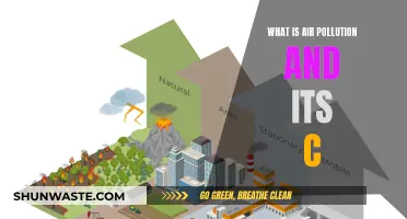 Air Pollution: Understanding Its Causes and Consequences