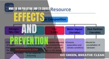 Unveiling Air Pollution: Causes, Impact, and Prevention Strategies