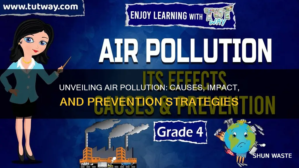 what is air pollution and its causes effects and prevention