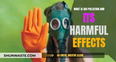 Air Pollution: Understanding Its Harmful Effects