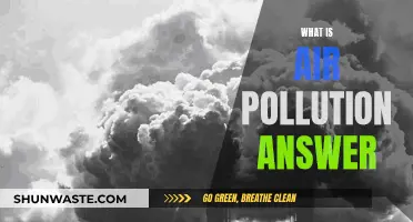 Air Pollution: Understanding the Toxic Air We Breathe