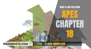 Air Pollution: Understanding the Hazards and Impacts