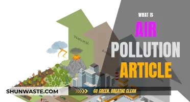Air Pollution: What It Is and Why It Matters