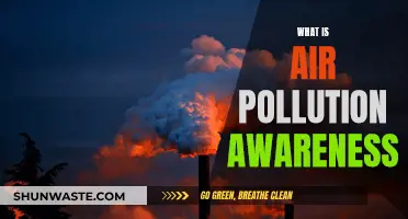 Air Pollution Awareness: Understanding the Crisis