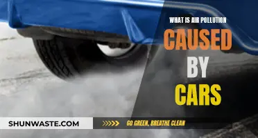 Cars' Impact: Understanding Air Pollution Sources