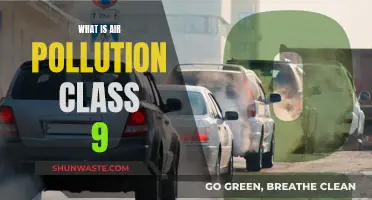 Air Pollution: Understanding the Basics