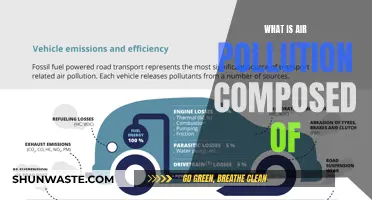 Air Pollution: Understanding Its Composition