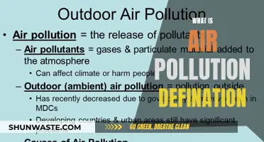 Air Pollution: Definition and Its Impact