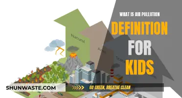 Air Pollution: What's in the Air We Breathe?